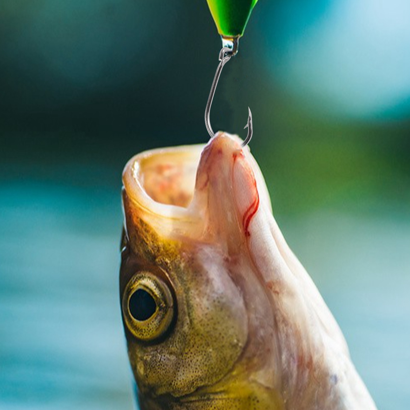 New arrival  500Pcs/Set Mixed  - Fishing Hook Size recension och pris